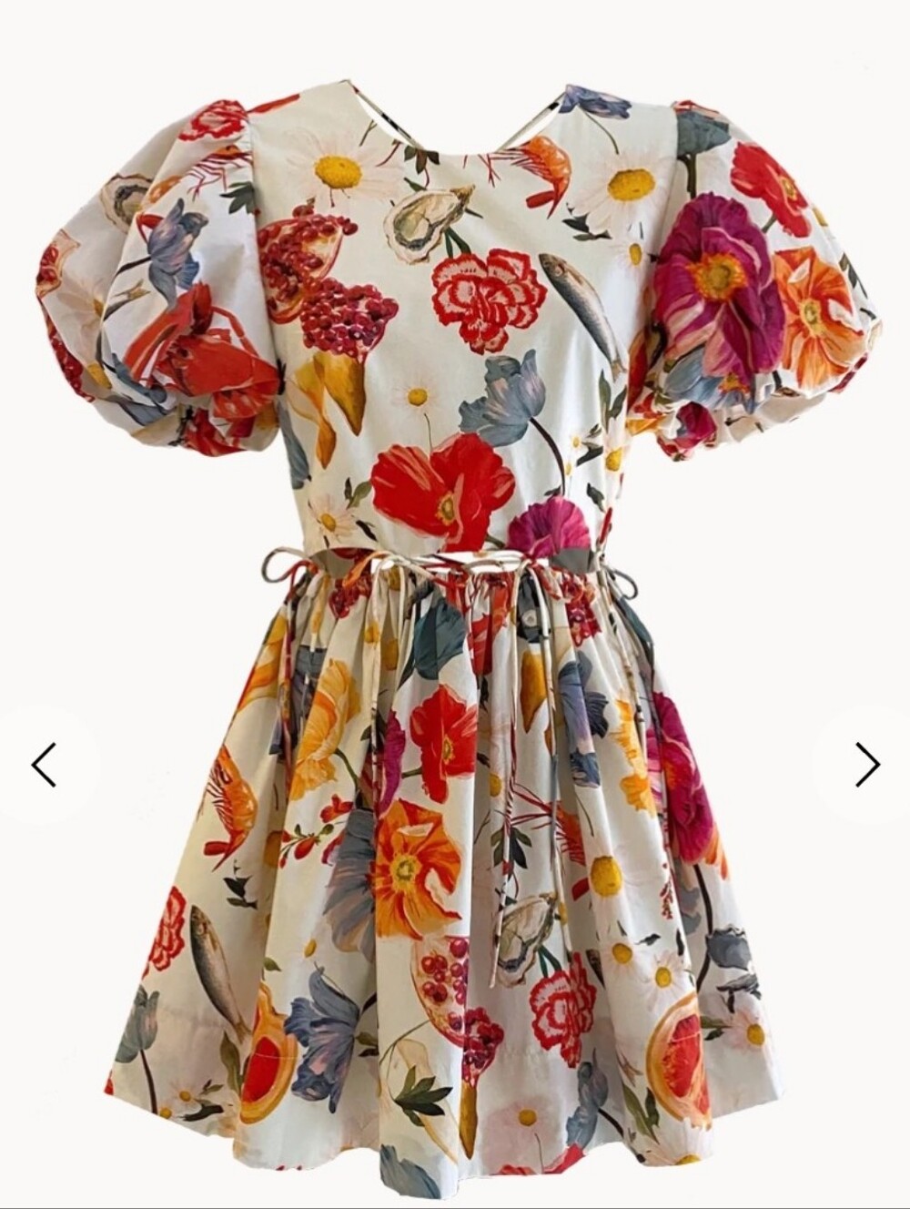 Allina Liu Rembrandt Mini Dress Small